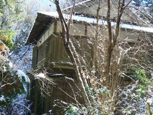 ����W���Ɏc�闷�ِ�