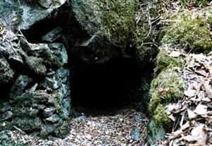 ~C̎֐_ZނƓ`Ă镗̕