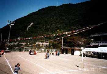 ��ʃg���[�����O