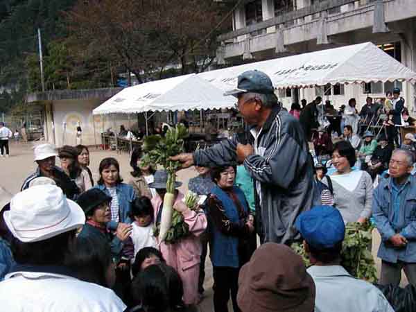 �P��̖�؂̋��蔄��