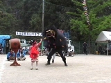荒川の獅子舞