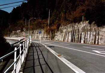 国道194号(平成11年)