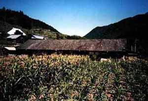 ���Òr���w�Z��