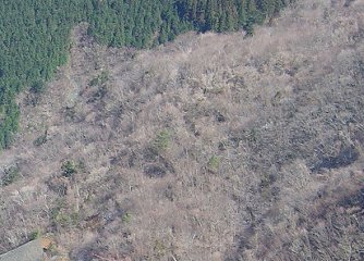 ����W���i���a�R�P�N�j