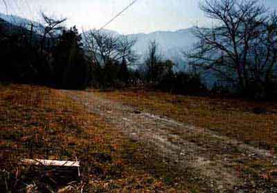 ���Β��w�Z�Ձi�����P�P�N�j