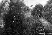 今はなき加茂地区森林軌道(昭和30年頃)