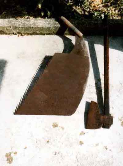 ؔ҂ƕiɓߗYLEaTVNBej