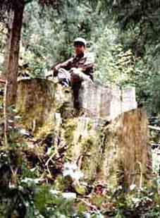 VEM̋ȃXM̐؂芔iaTUNBej