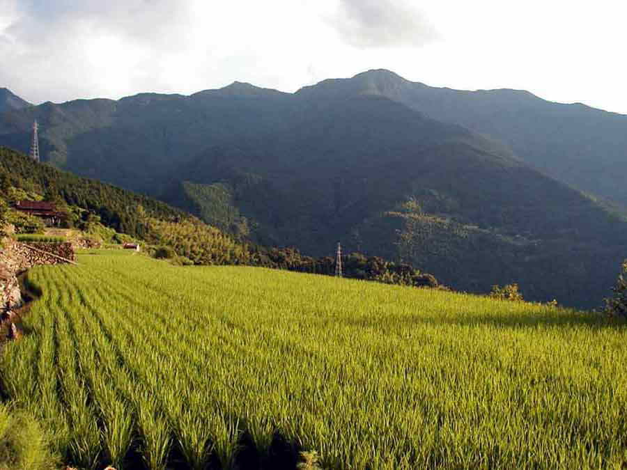 {̎̒Ici͌oPiXj1192mj