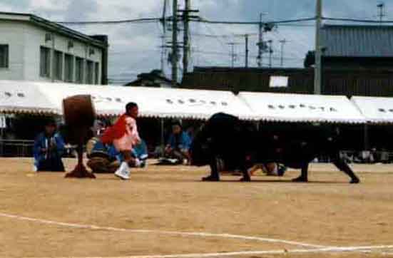 �r��̎��q���i���̂Q�j