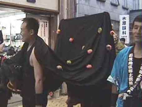 ���q���Q