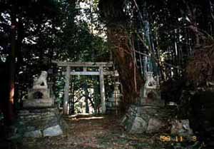 �����ƒ���