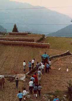 高智神社に向かう神輿